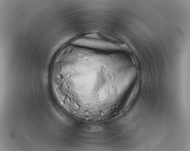 X0000113040443200909101921