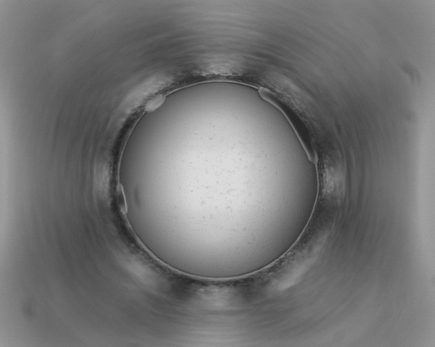 X0000113040444200909101921