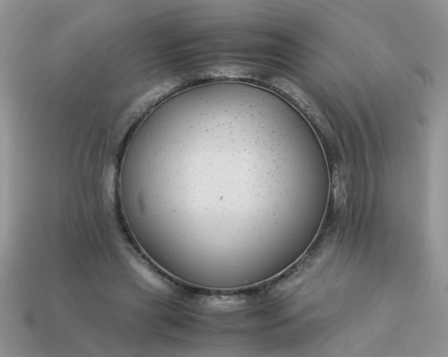 X0000113040445200909101921