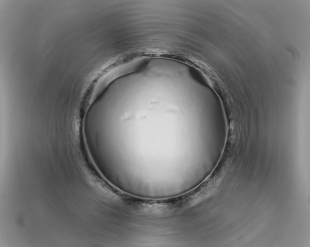 X0000113040446200909101921