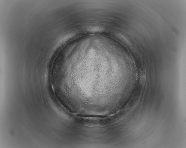 X0000113040447200909101921