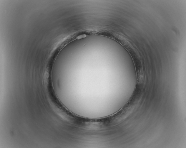 X0000113040448200909101921