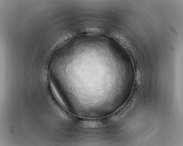 X0000113040449200909101921
