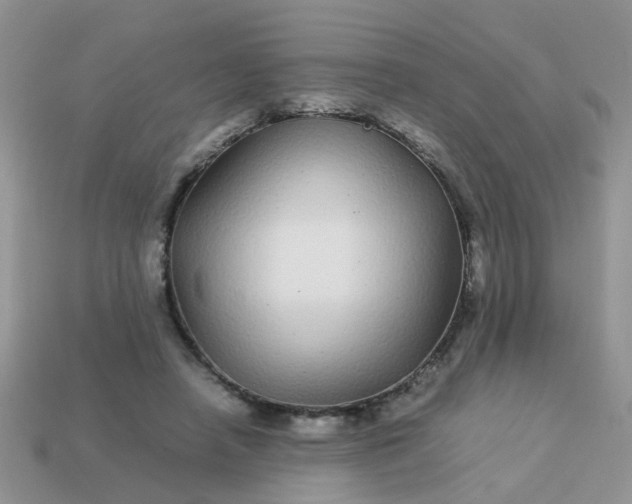 X0000113040450200909101921