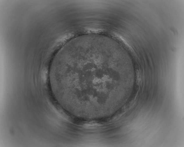 X0000113040451200909101921