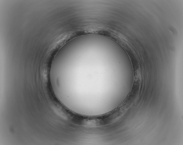 X0000113040452200909101921