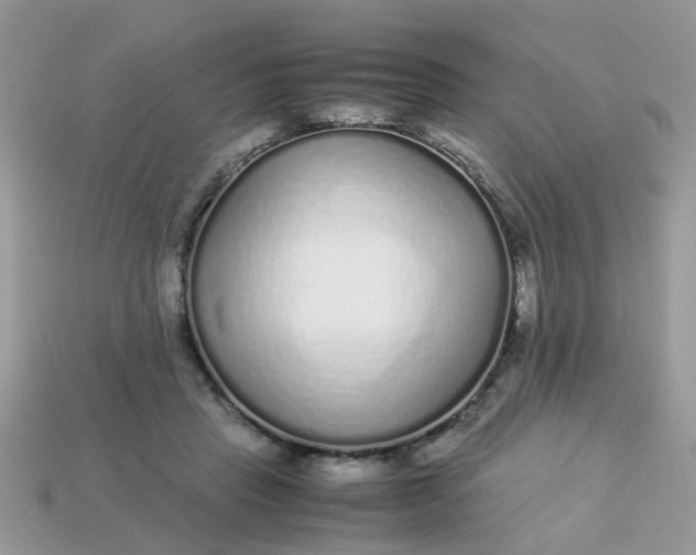X0000113040453200909101921