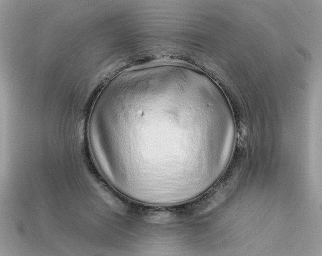 X0000113040454200909101921