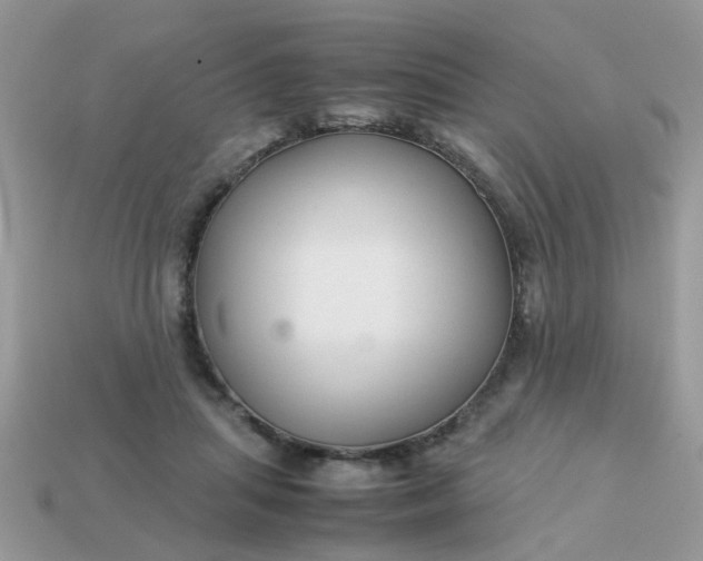 X0000113040455200909101921