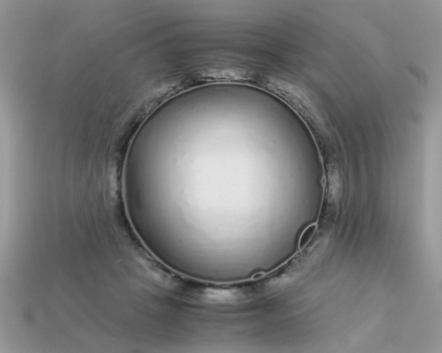 X0000113040457200909101921