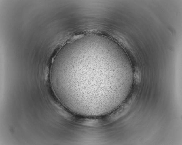 X0000113040458200909101921