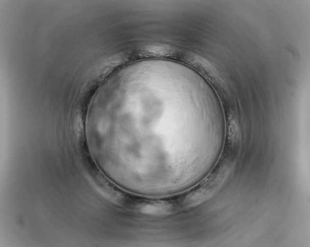 X0000113040459200909101921