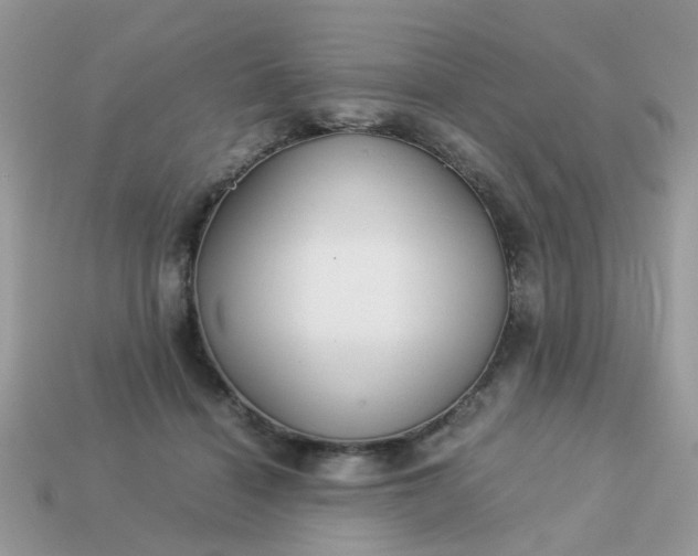 X0000113040460200909101921