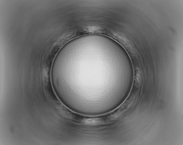 X0000113040461200909101921