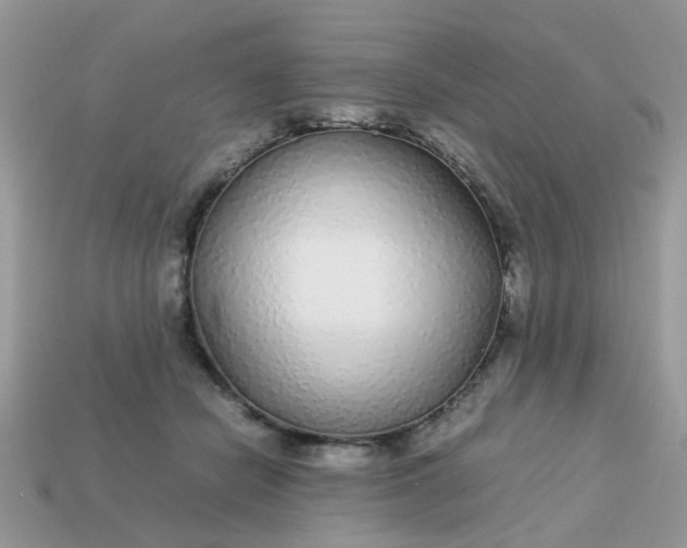 X0000113040462200909101921