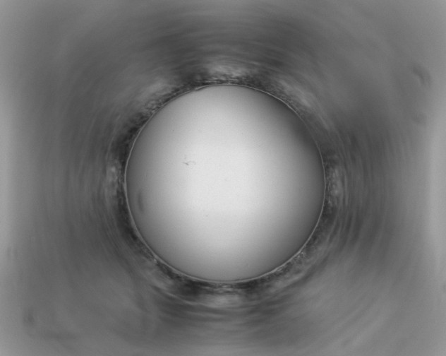 X0000113040463200909101921