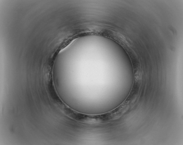 X0000113040464200909101921