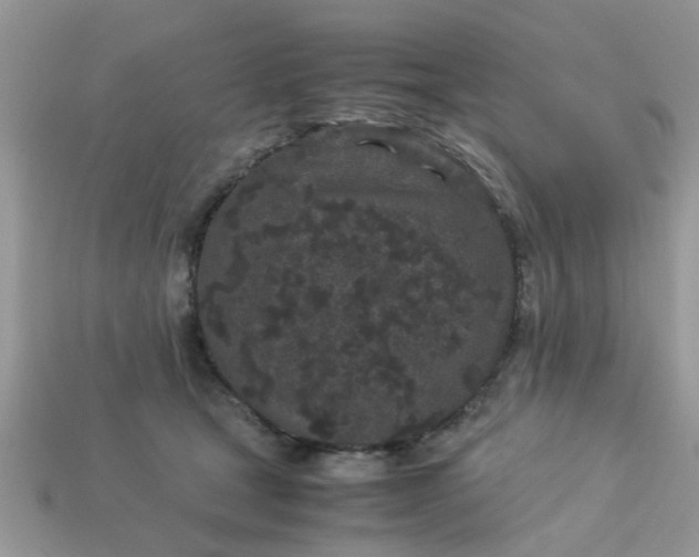 X0000113040465200909101922