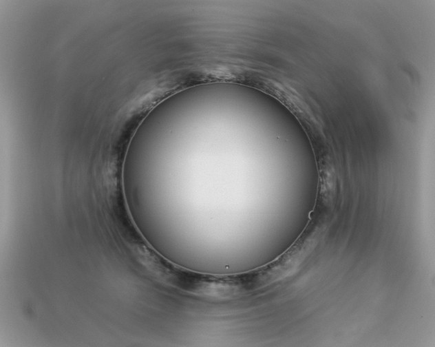 X0000113040466200909101922