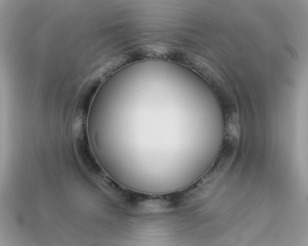 X0000113040468200909101922