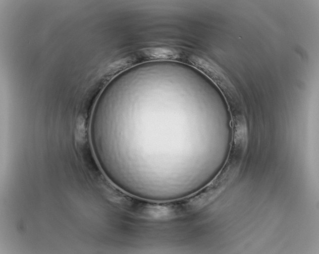 X0000113040469200909101922