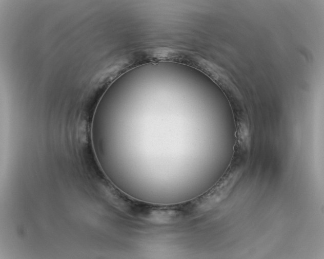 X0000113040470200909101922