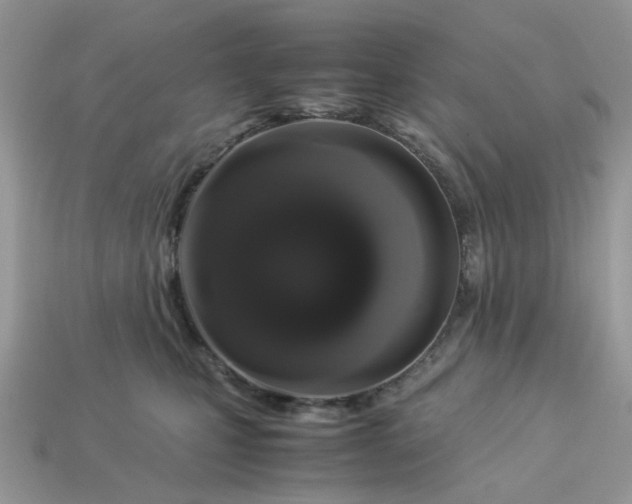 X0000113040471200909101922