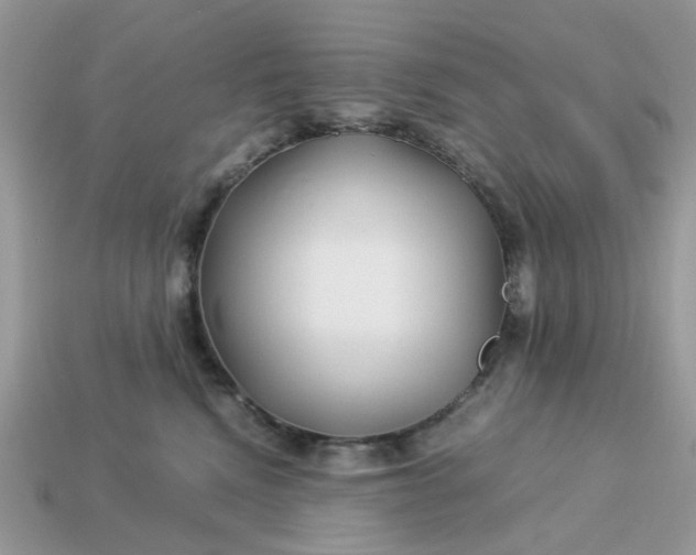 X0000113040472200909101922