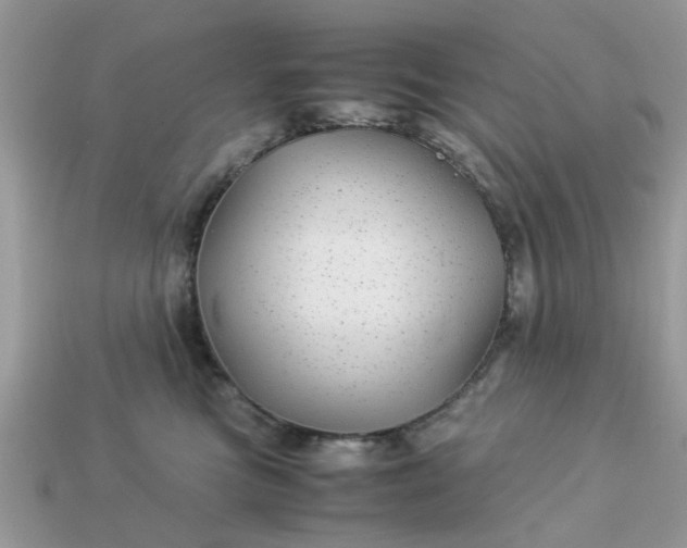 X0000113040473200909101922