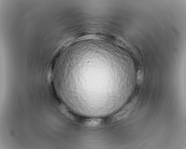 X0000113040474200909101922