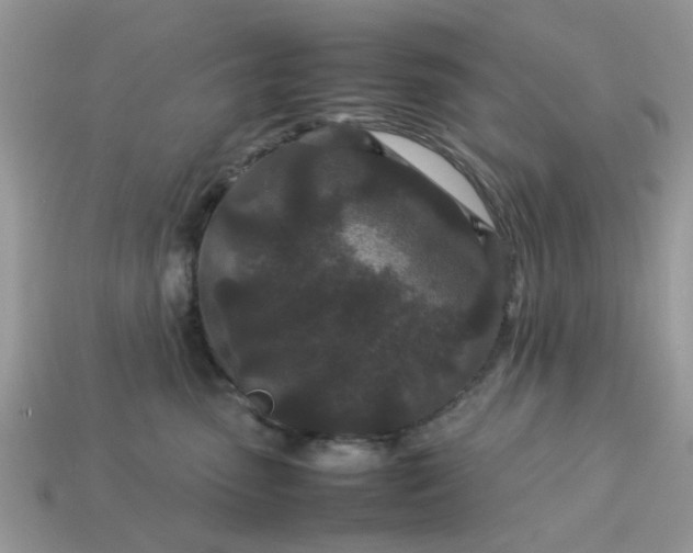 X0000113040475200909101922