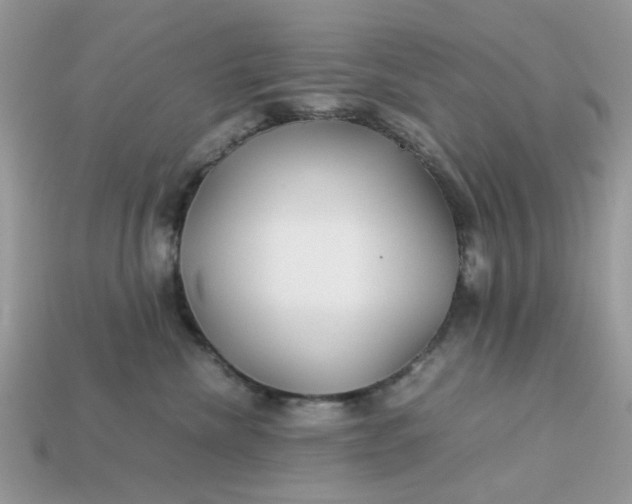 X0000113040476200909101922
