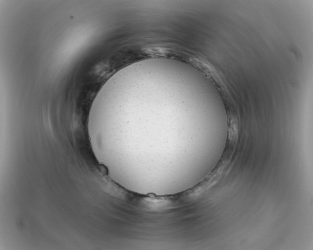 X0000113040477200909101922