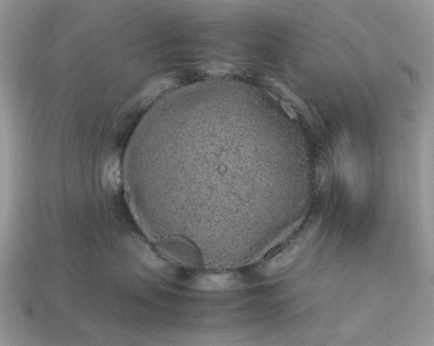 X0000113040479200909101922