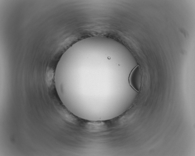 X0000113040480200909101922