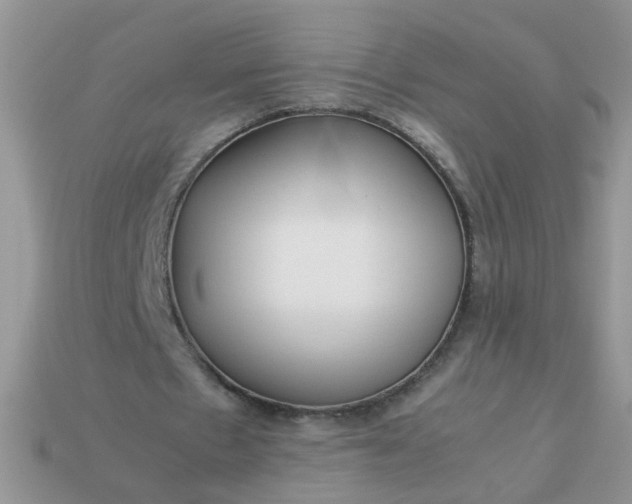 X0000113040481200909101921