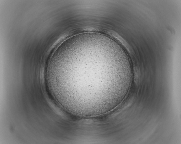 X0000113040482200909101921