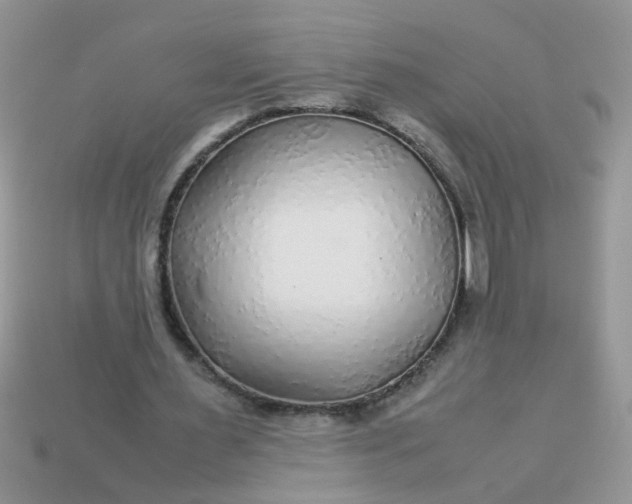 X0000113040483200909101921