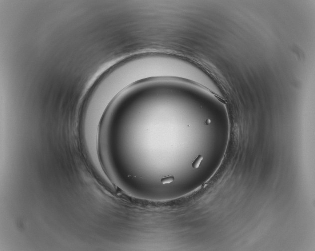 X0000113040484200909101921