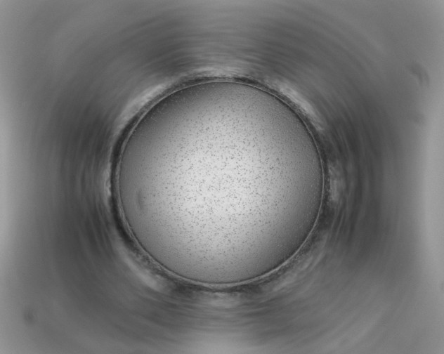 X0000113040486200909101921