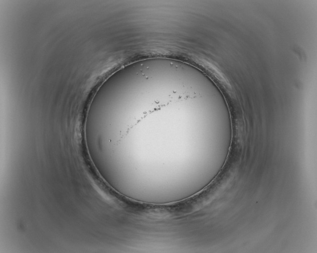 X0000113040489200909101921