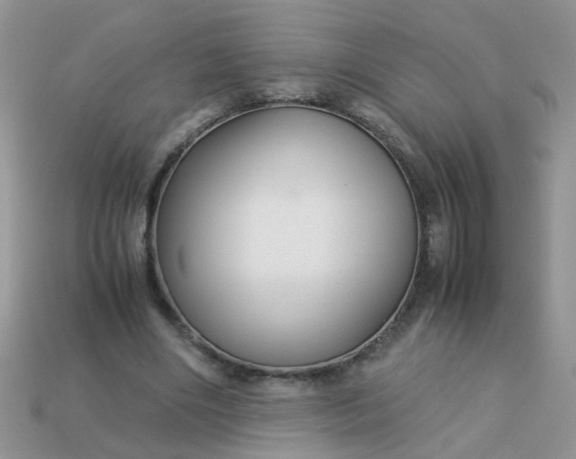 X0000113040490200909101921