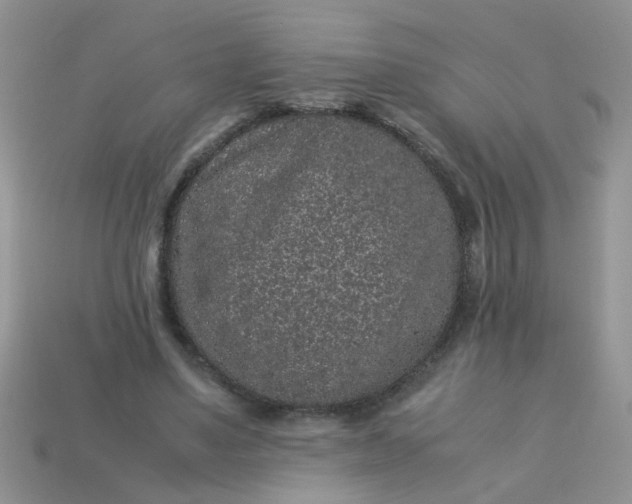 X0000113040491200909101921