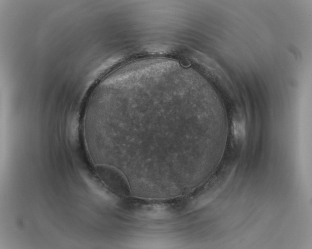 X0000113040492200909101921