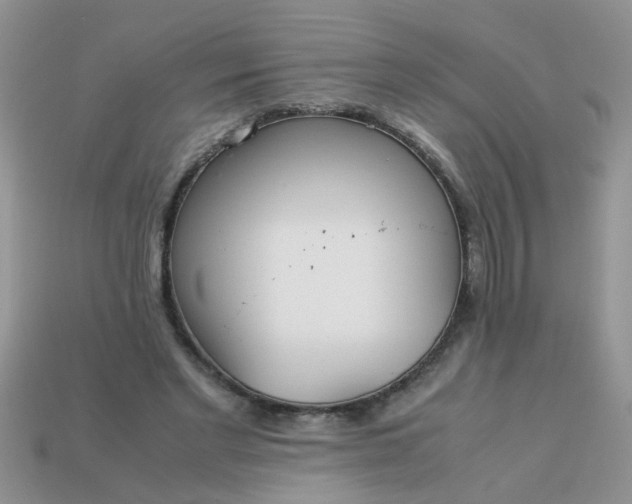 X0000113040493200909101921