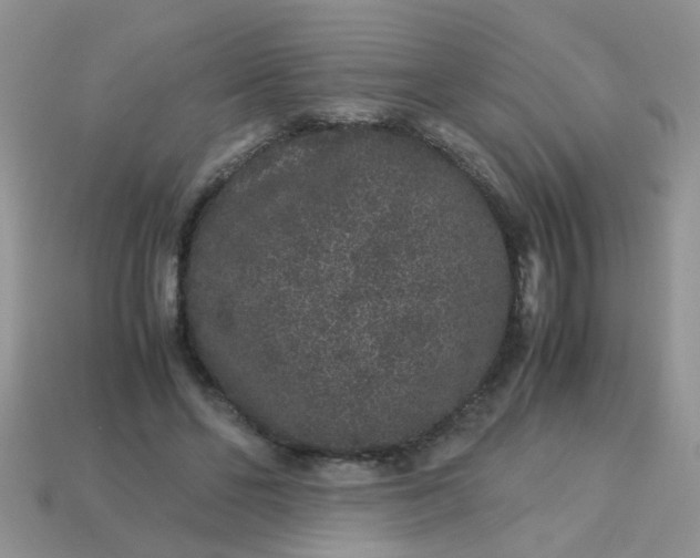 X0000113040494200909101921
