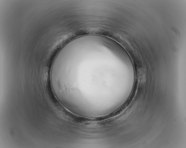 X0000113040495200909101921