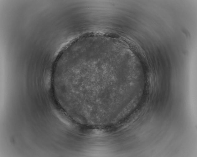 X0000113040496200909101921