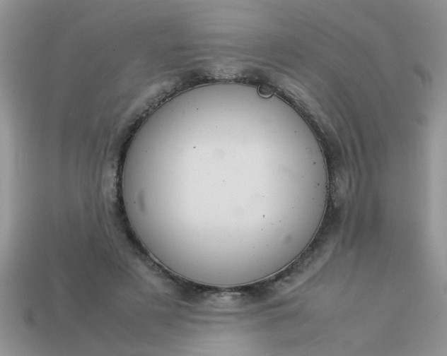 X0000113040497200909101921