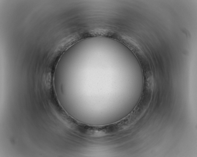 X0000113040498200909101921